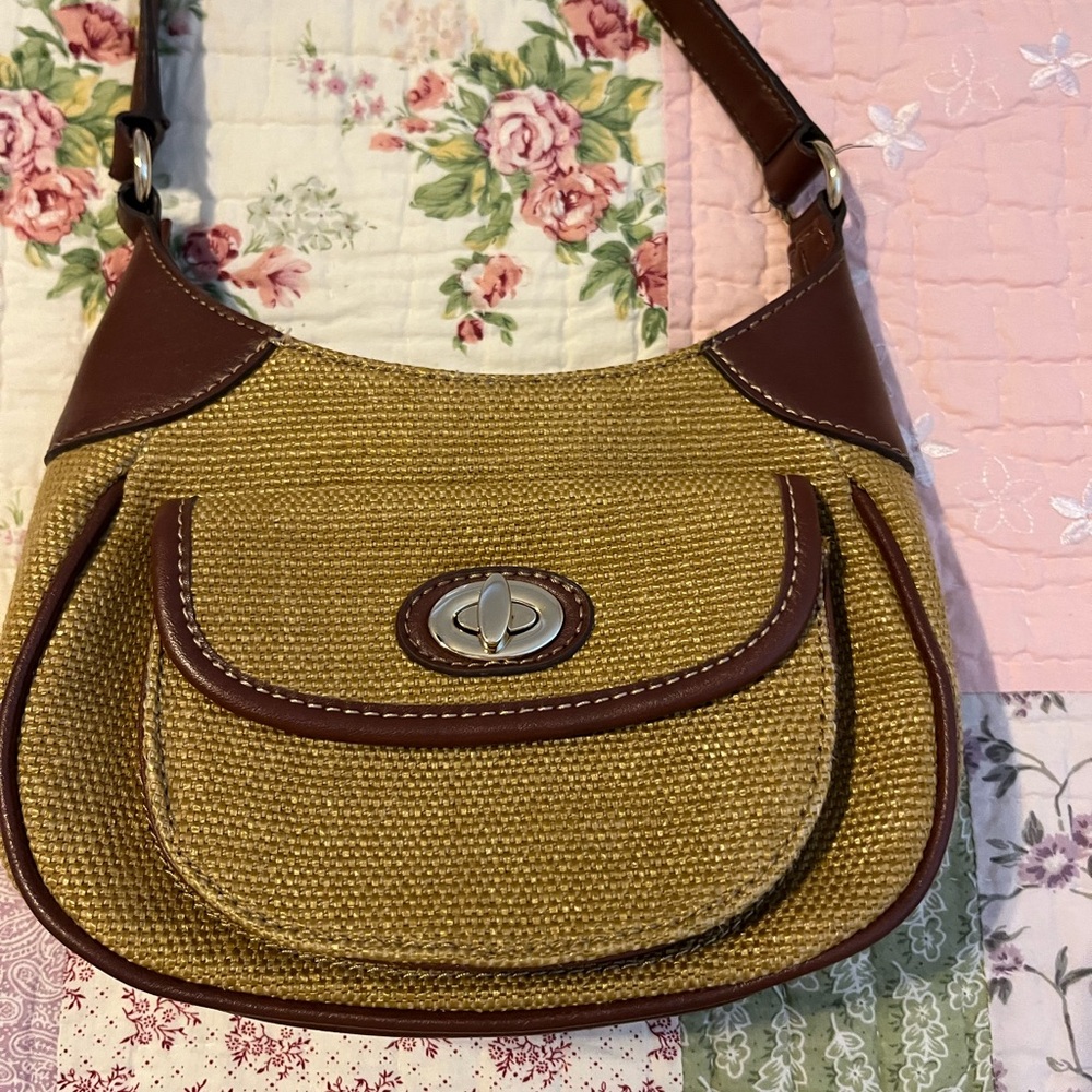 aigner Brown and Tan Women's Bag